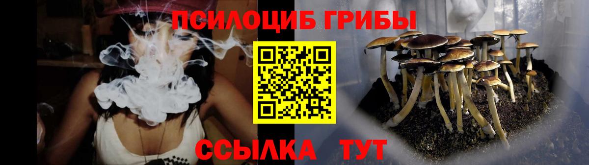 Дубна  Галлюциногенные грибы прущие грибы  Вход с VPN 